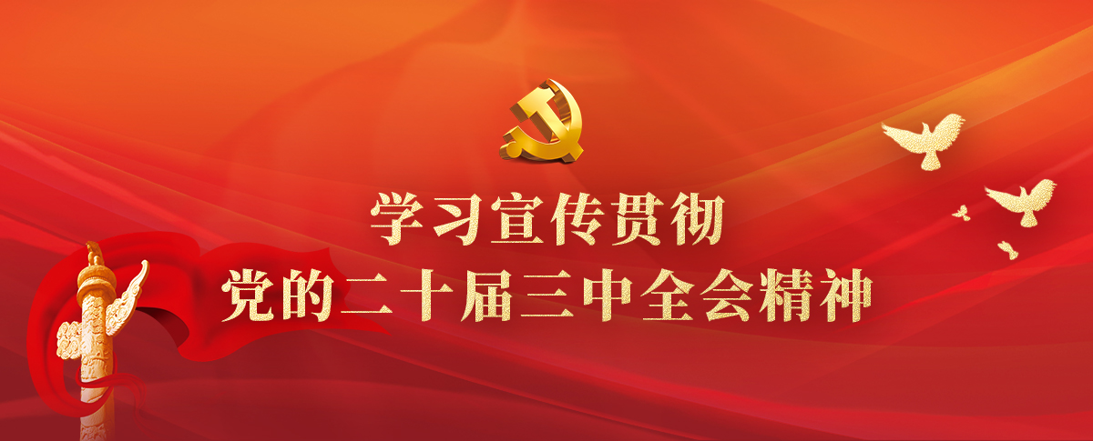 學習宣傳貫徹黨的二十屆三中全會精神